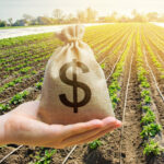 Alienação Fiduciária e Lei 13.465 e 9.514